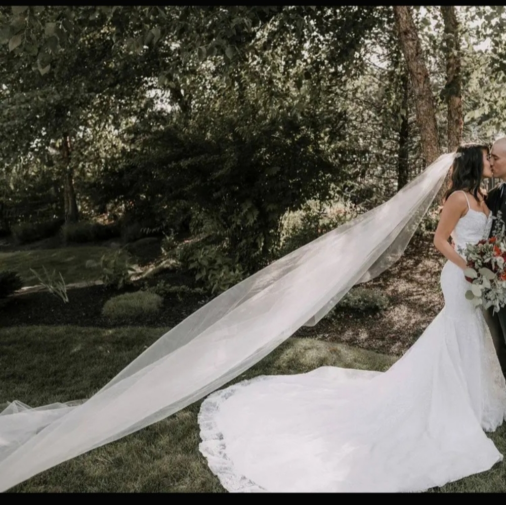 Royal Cathedral ivory wedding veil